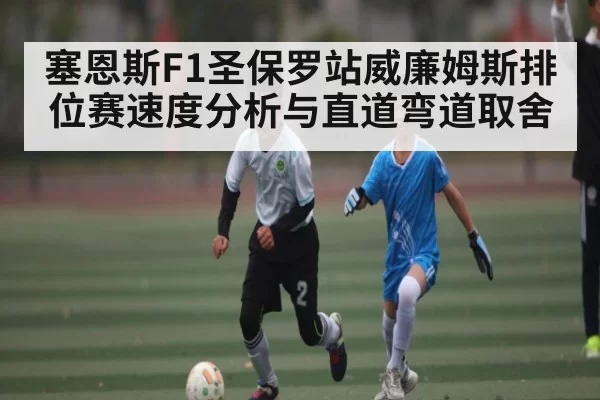 塞恩斯F1圣保罗站威廉姆斯排位赛速度分析与直道弯道取舍